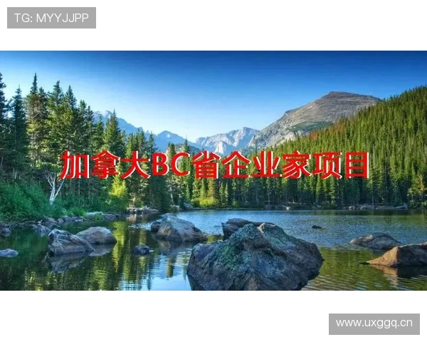 加拿大企业家移民政策解析：如何通过投资与创业实现移民梦